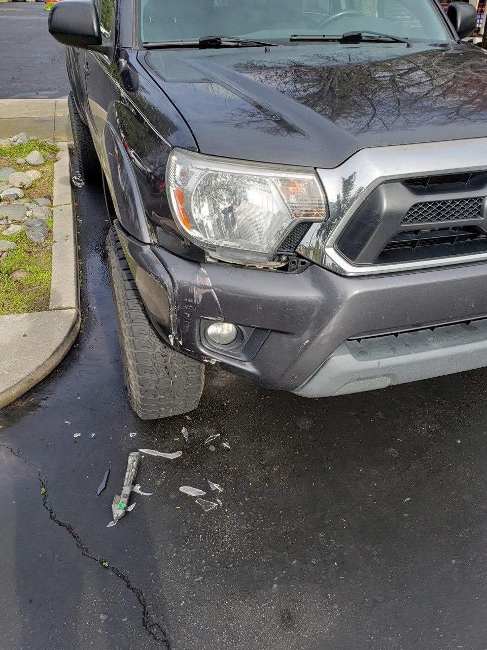 20190117_115453.jpg