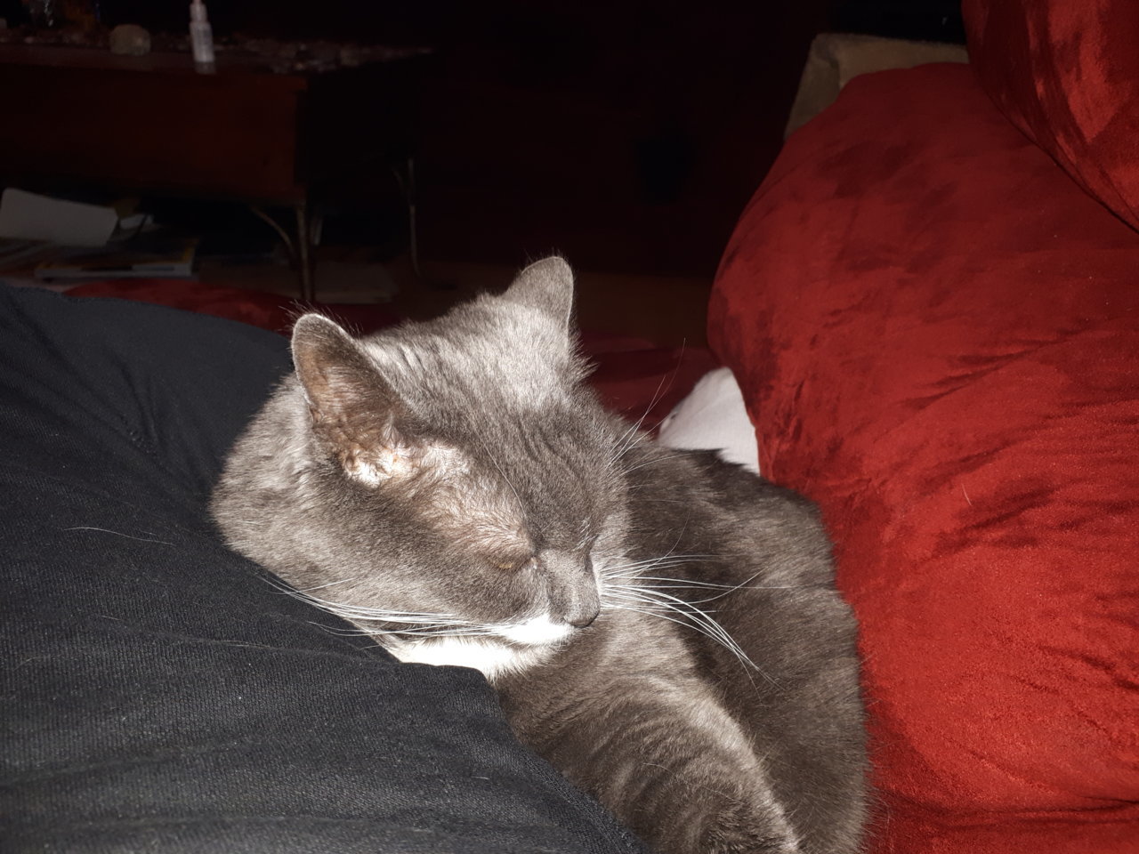 20190117_152904.jpg