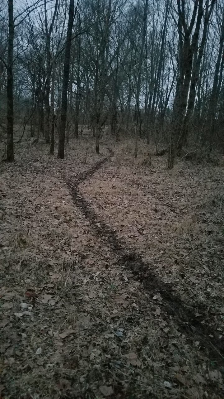 20190118_172439.jpg