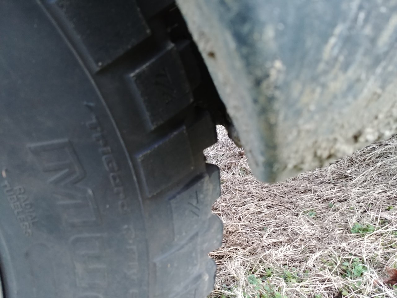20190118_173133.jpg