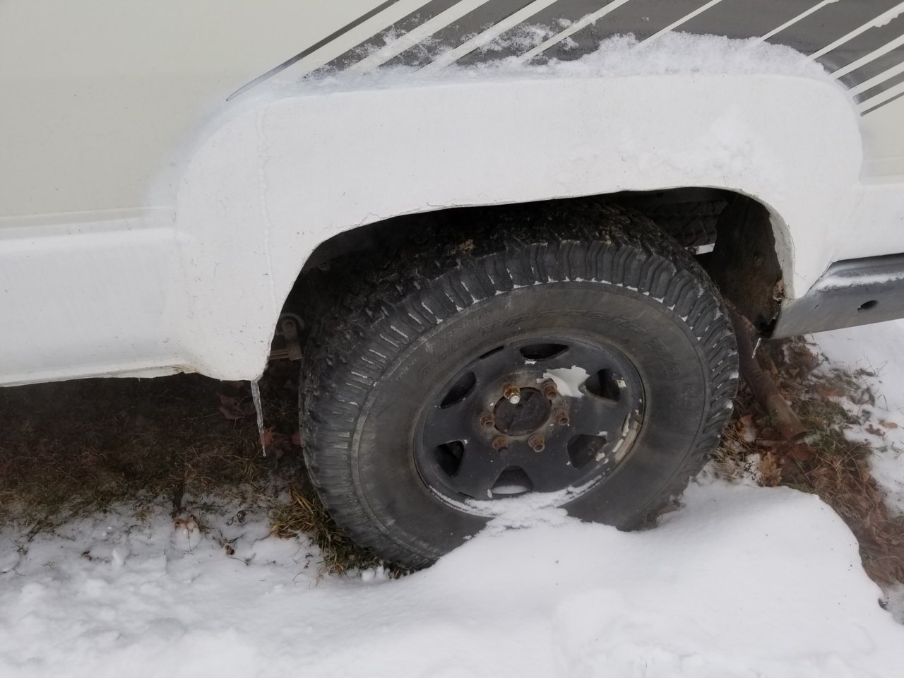 20190119_090246.jpg