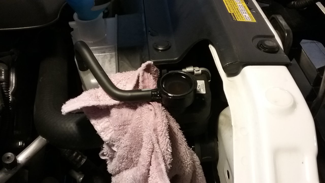20190119_105553.jpg