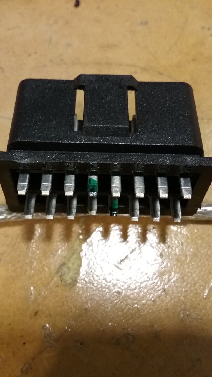 20190119_120042.jpg