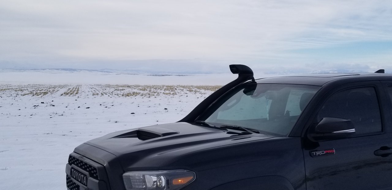 20190119_142913.jpg