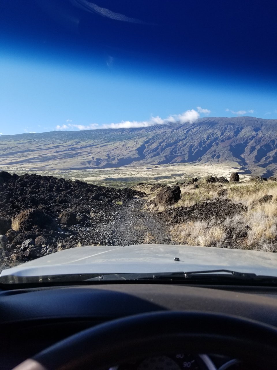 20190119_160732.jpg