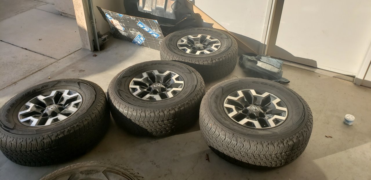 20190119_161631.jpg
