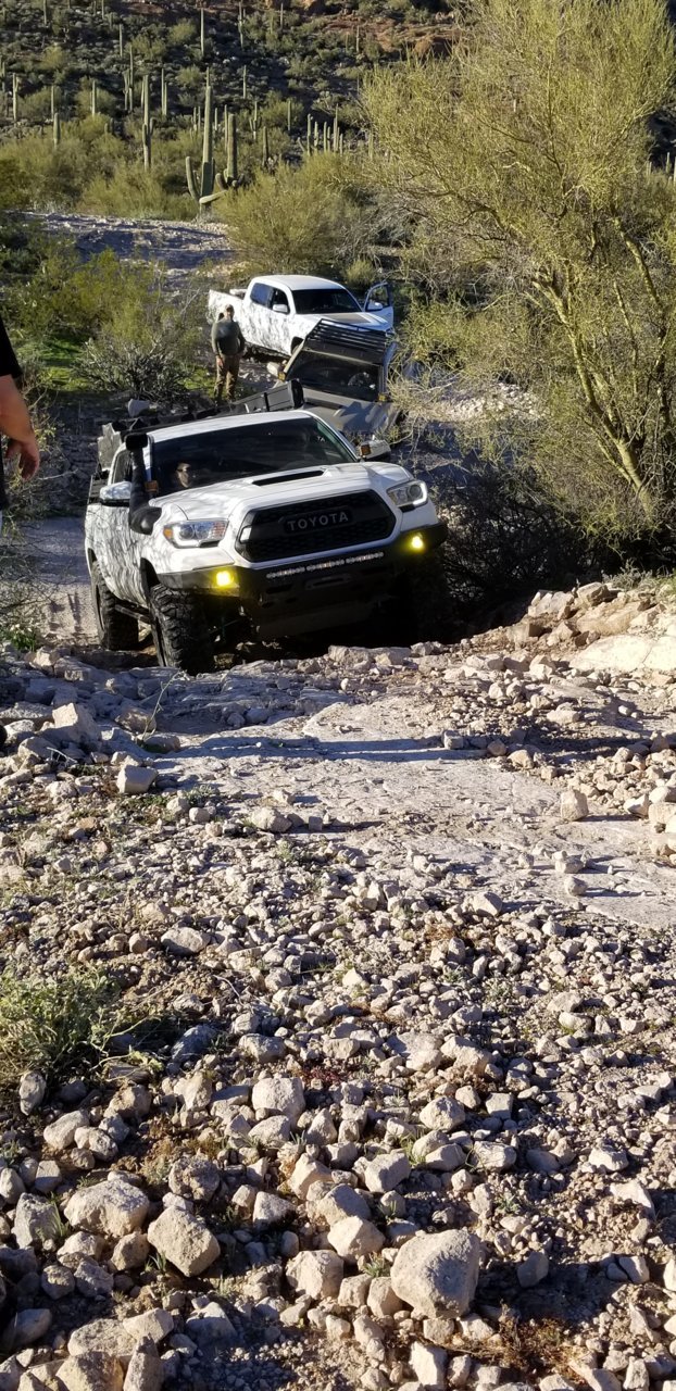 20190119_162532.jpg