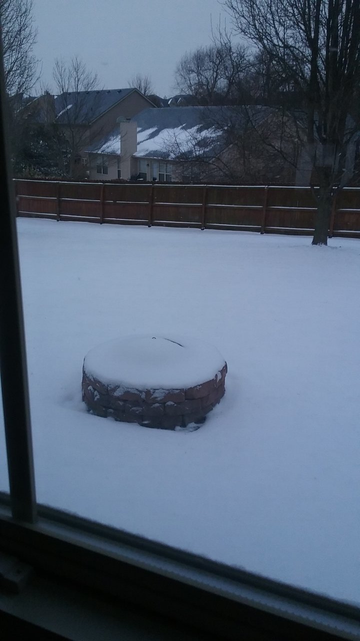 20190120_082949.jpg