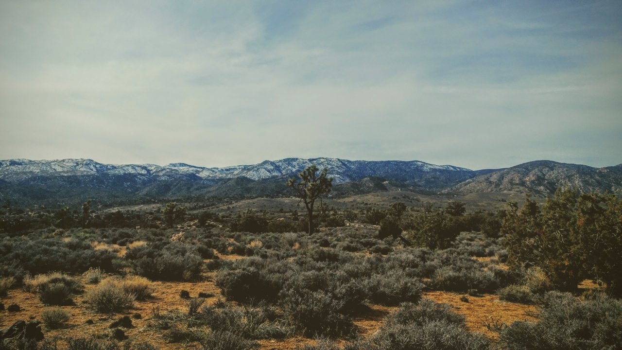 20190120_113020~2.jpg