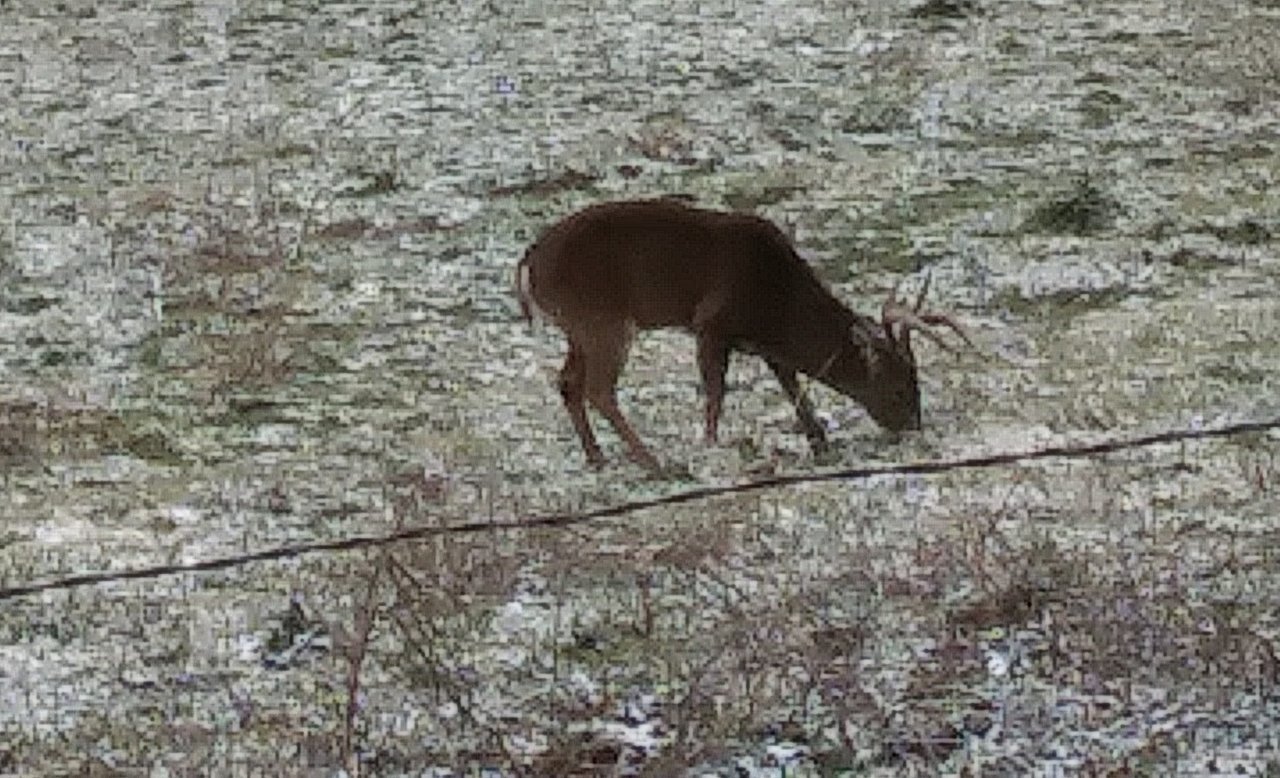 20190120_121411~2.jpg