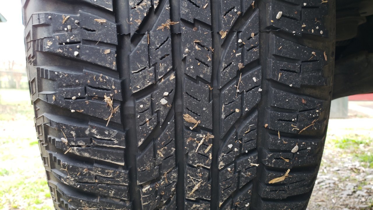 20190120_132431.jpg