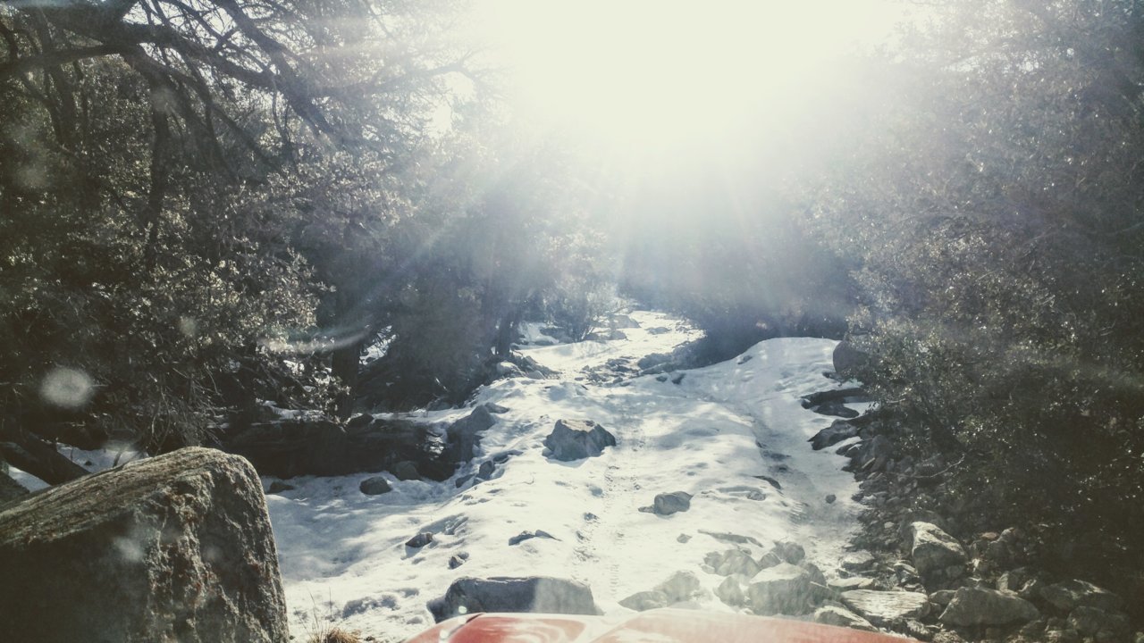 20190120_133554~2.jpg