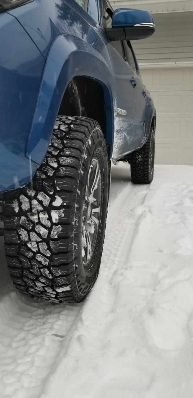 20190120_151231.jpg
