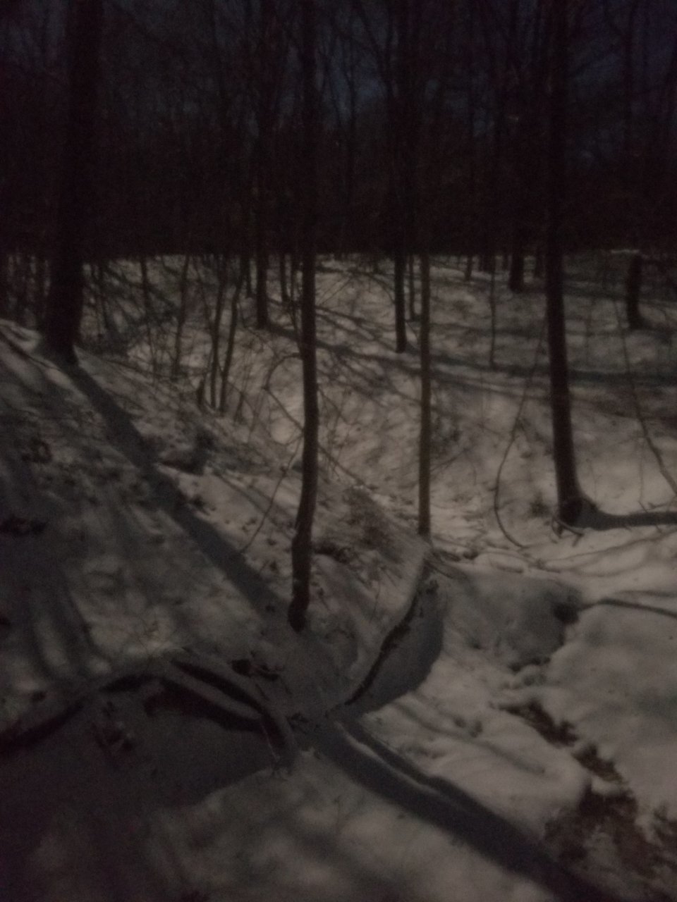 20190120_214848.jpg