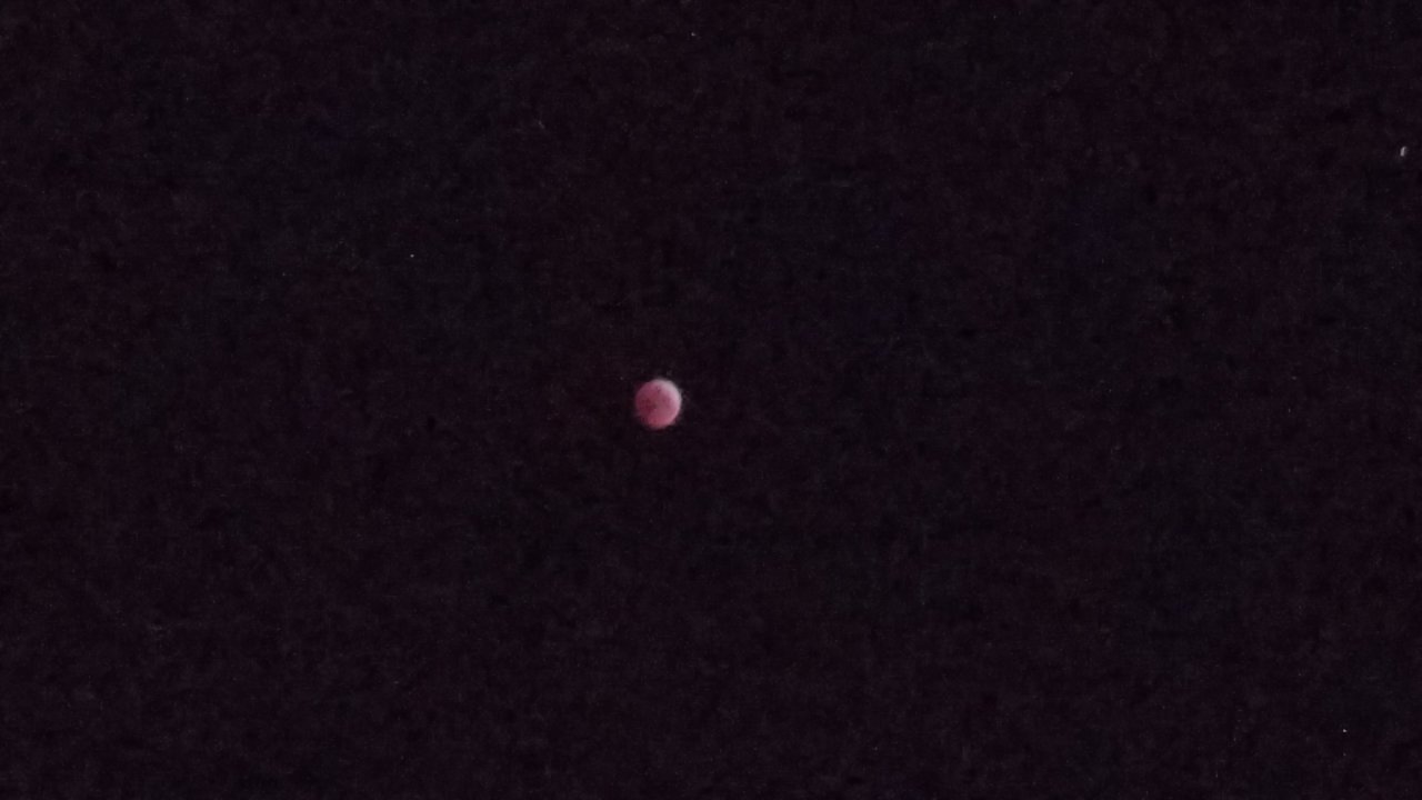 20190120_235208.jpg
