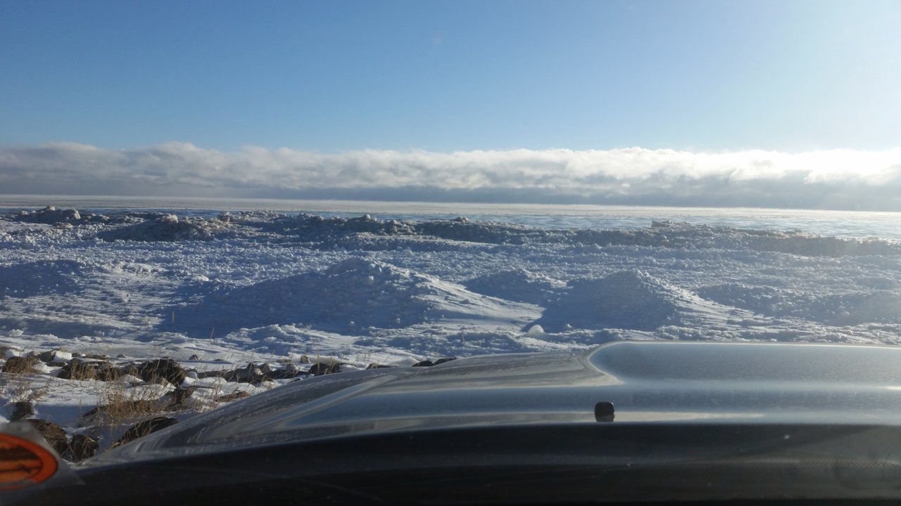 20190121_085528.jpg