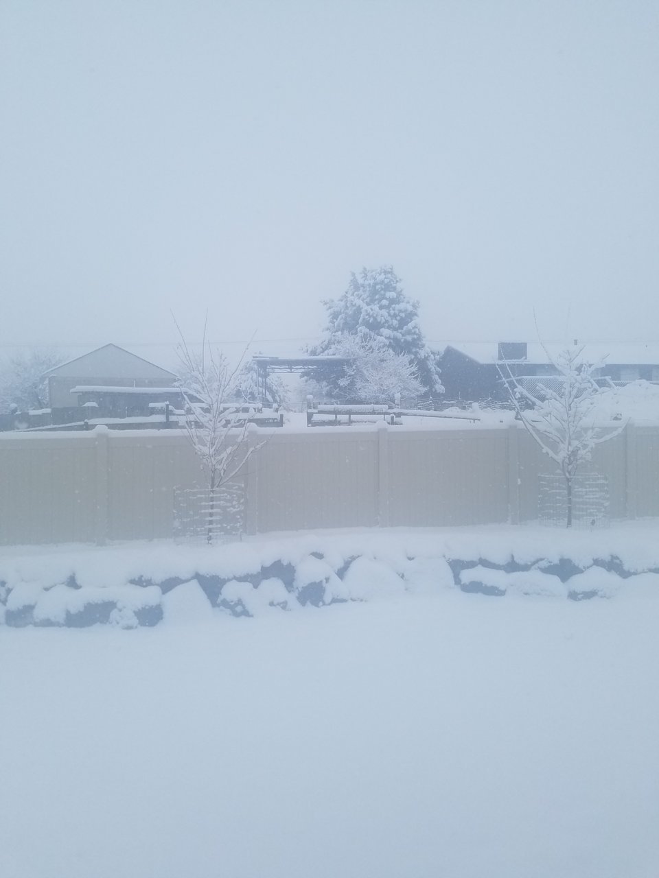 20190121_092438.jpg