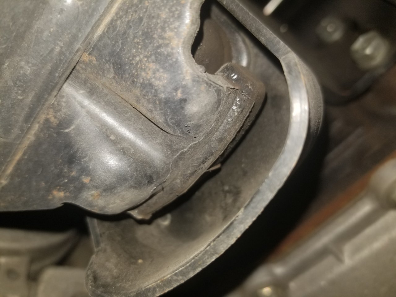20190121_110117.jpg
