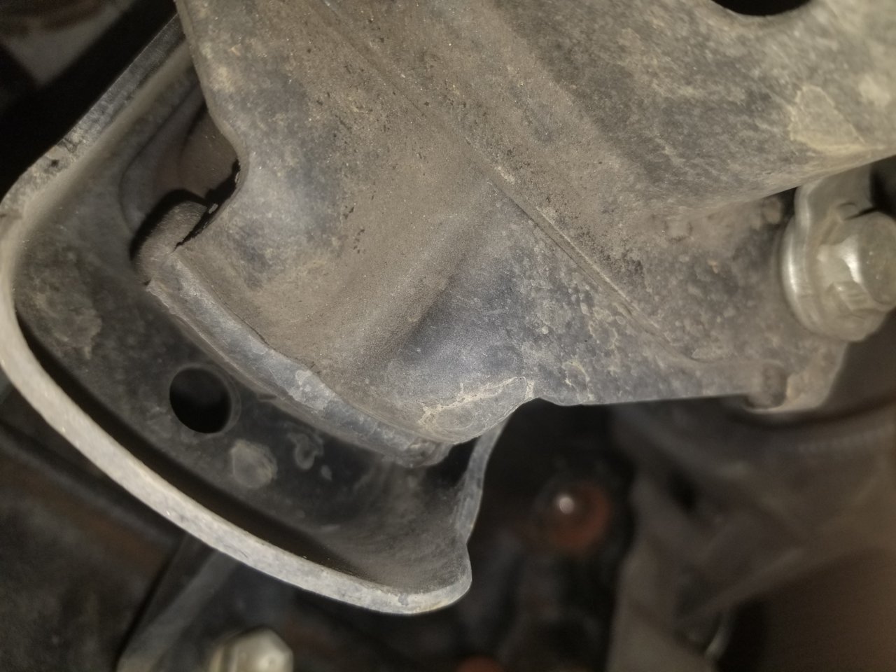 20190121_110204.jpg
