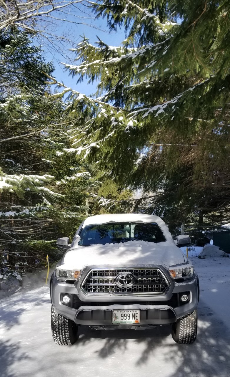 20190122_120311.jpg