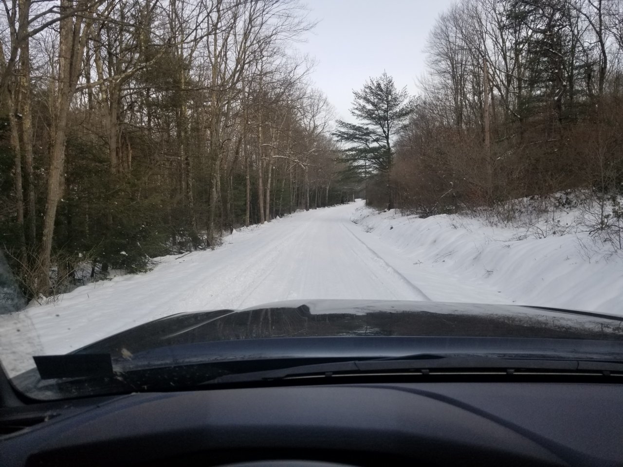 20190122_153004.jpg
