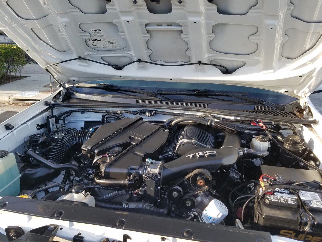 20190122_161427.jpg