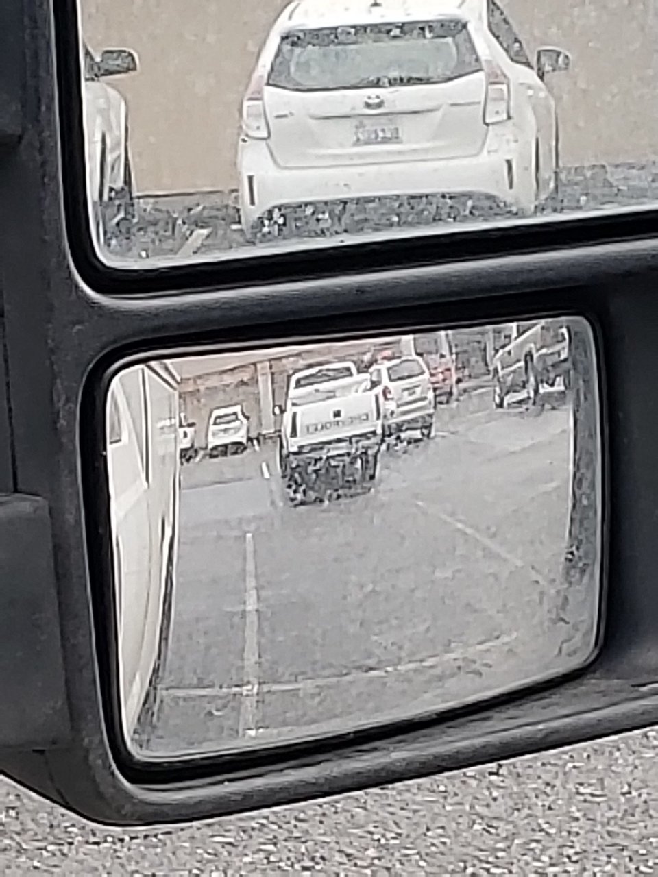 20190123_150106.jpg