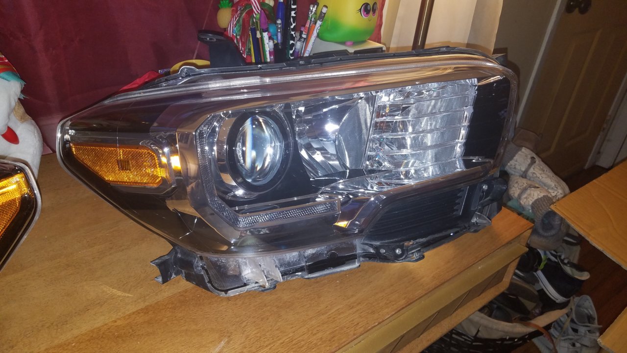 20190123_173801.jpg