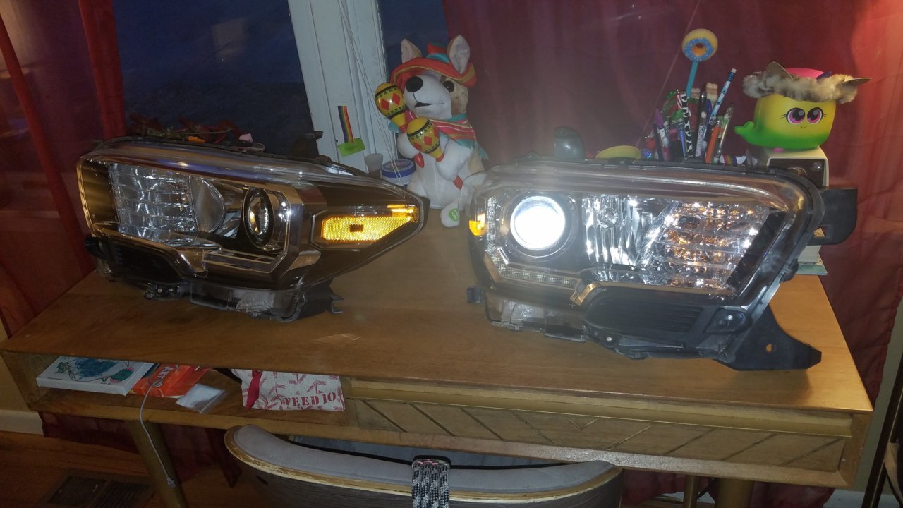 20190123_173829.jpg