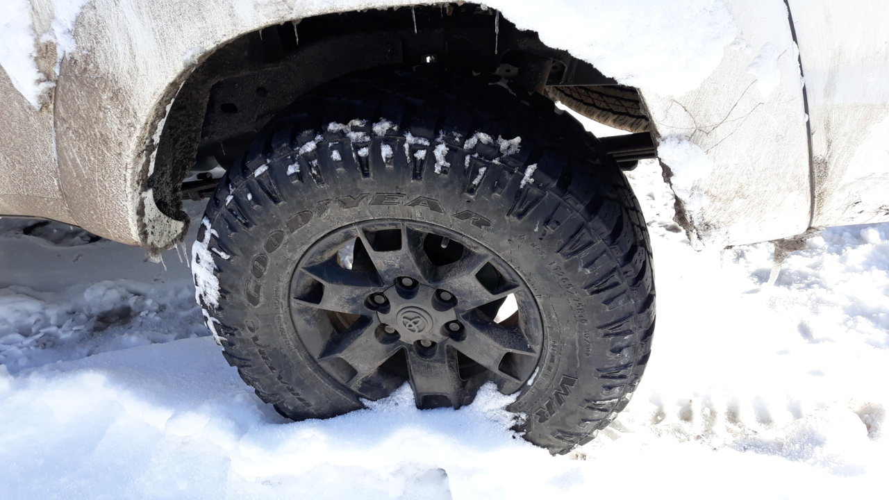20190124_105048.jpg