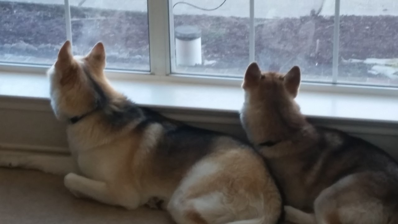 20190125_095958.jpg