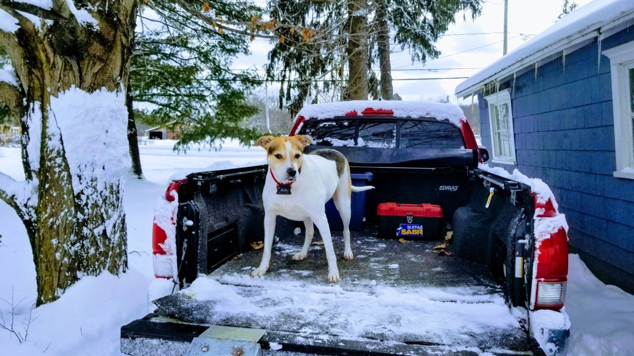 20190126_114217-EFFECTS.jpg
