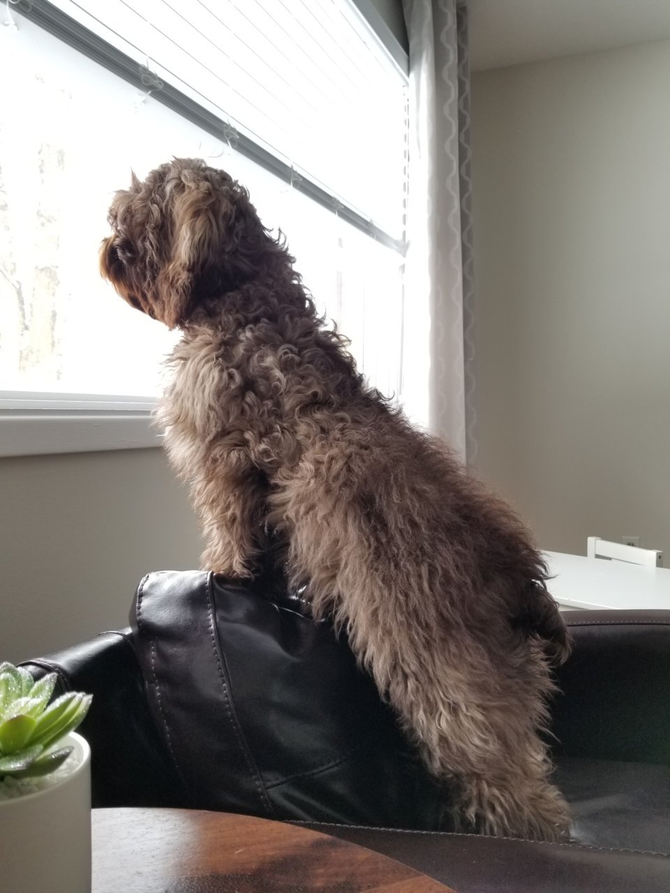 20190126_132240.jpg