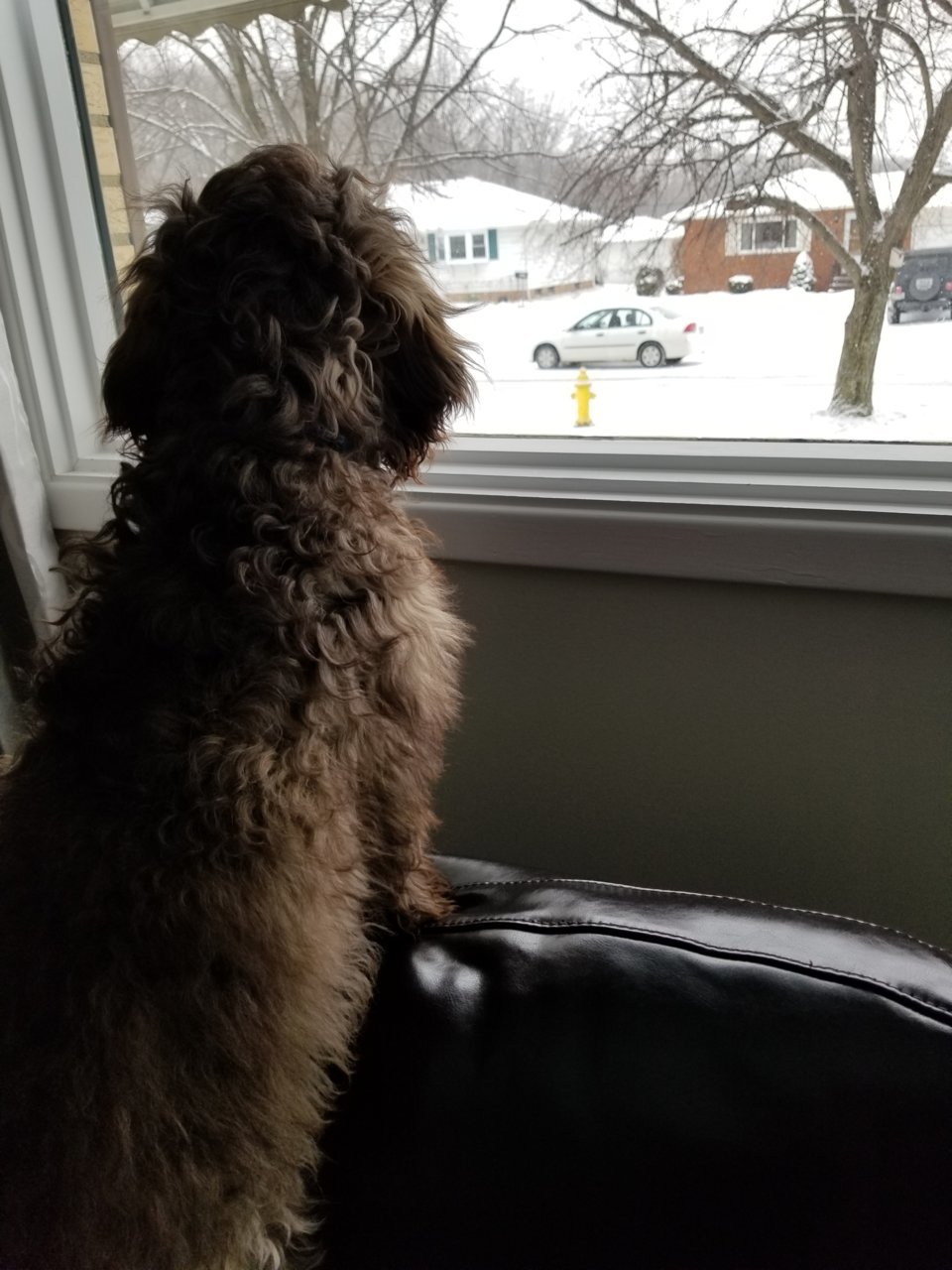 20190126_132302.jpg