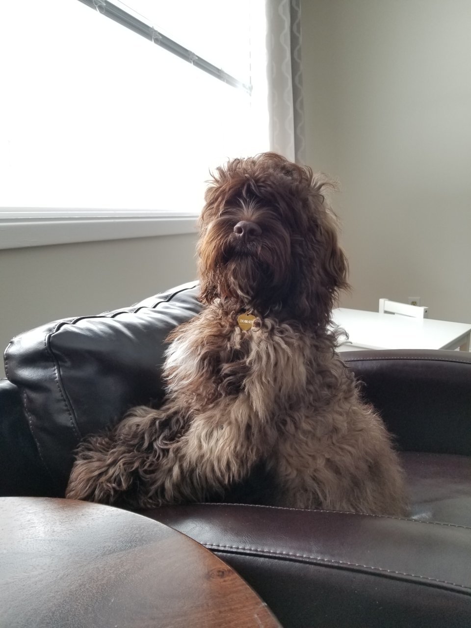 20190126_132637.jpg