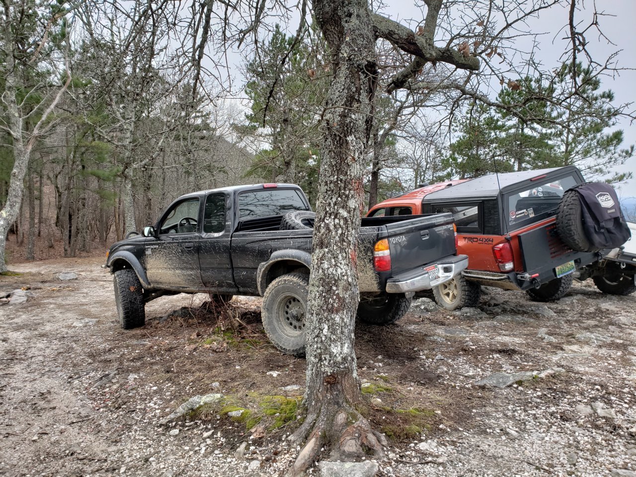 20190127_102932.jpg