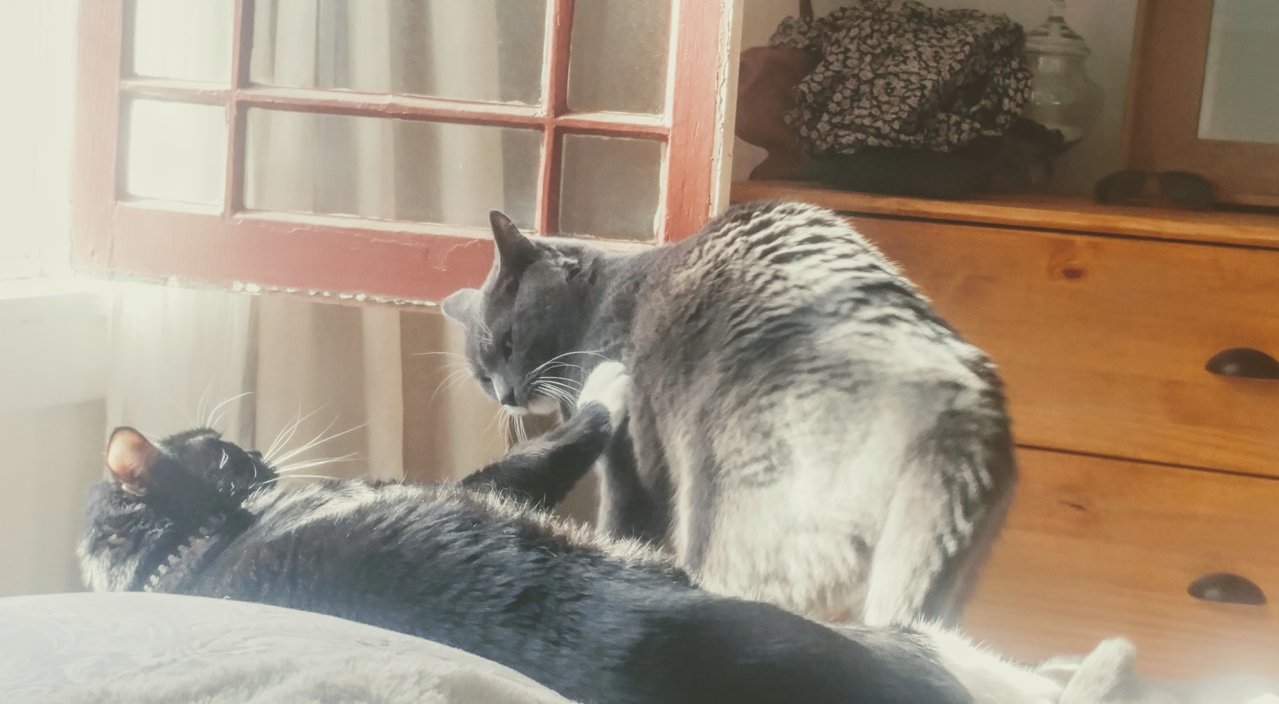 20190127_103451~2.jpg