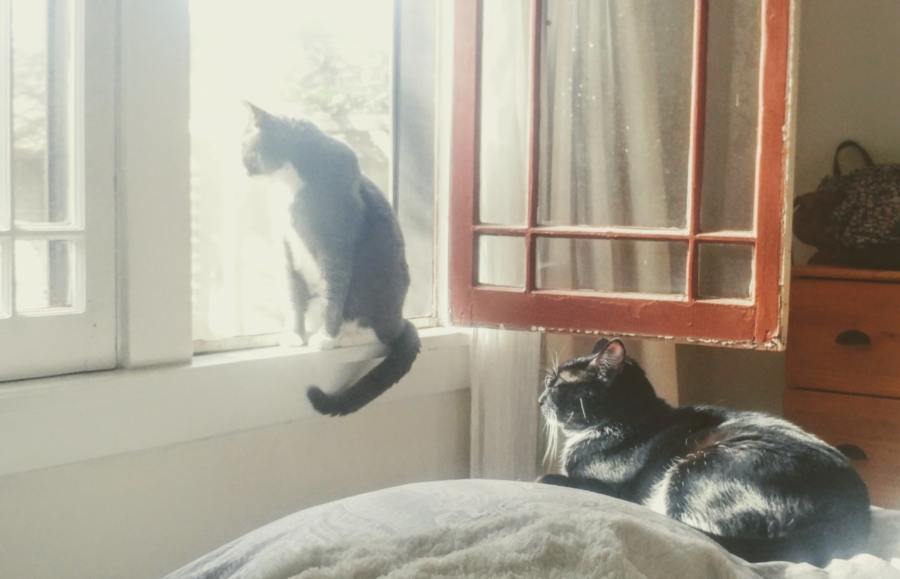 20190127_104351~2.jpg