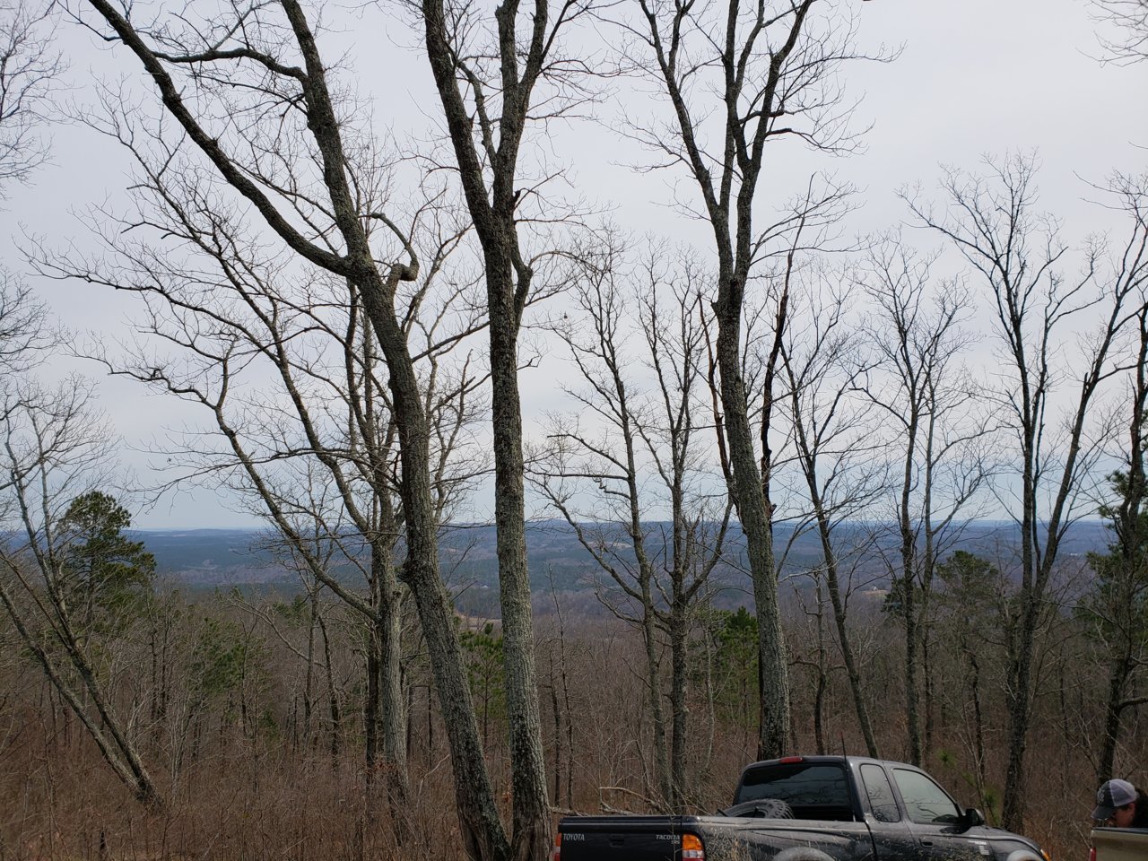 20190127_124934.jpg