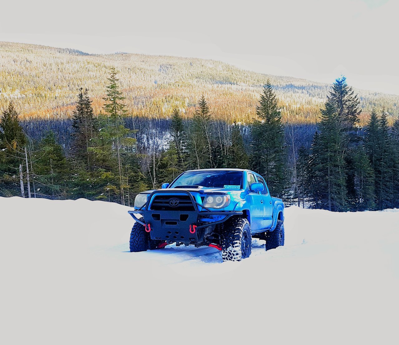 20190127_151341-01.jpg
