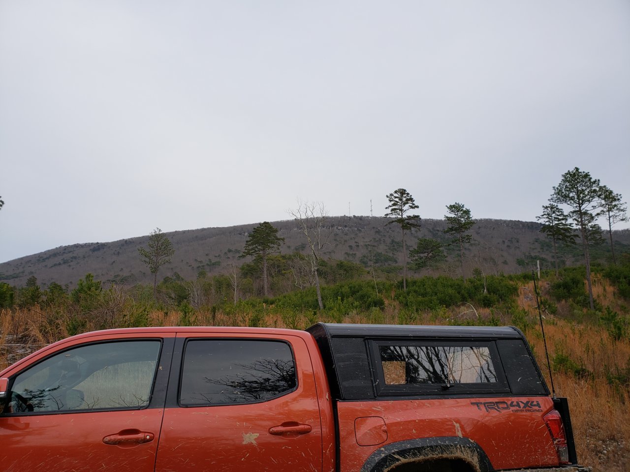 20190127_154413.jpg