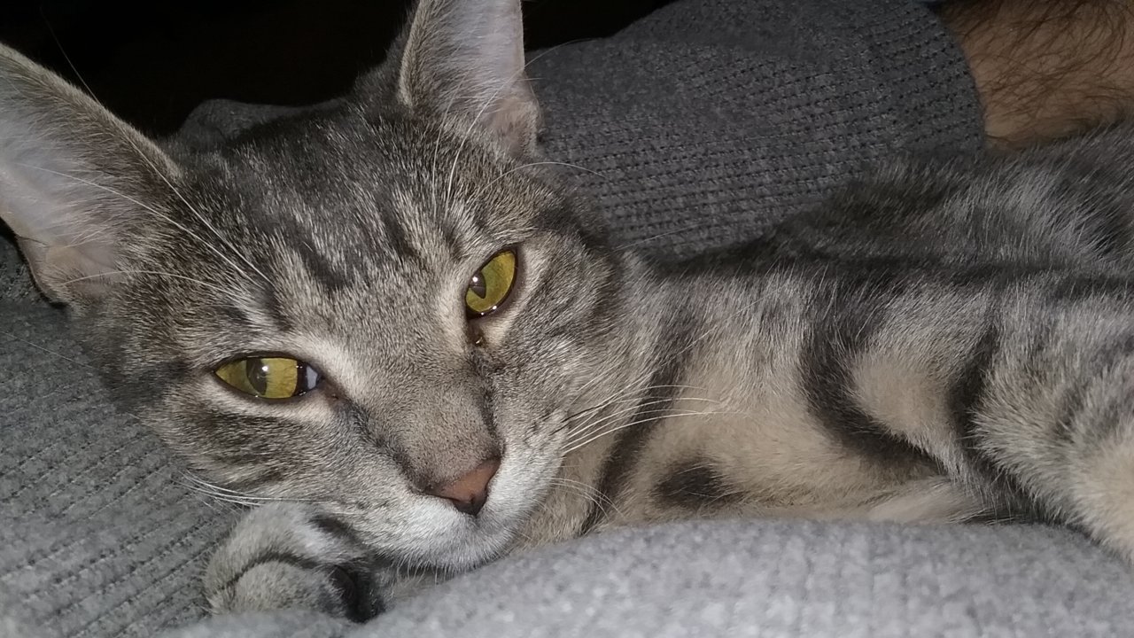 20190127_172457.jpg