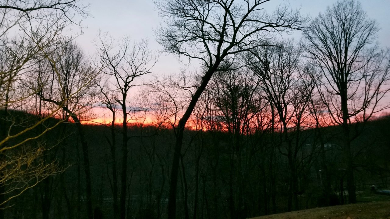 20190127_173401.jpg