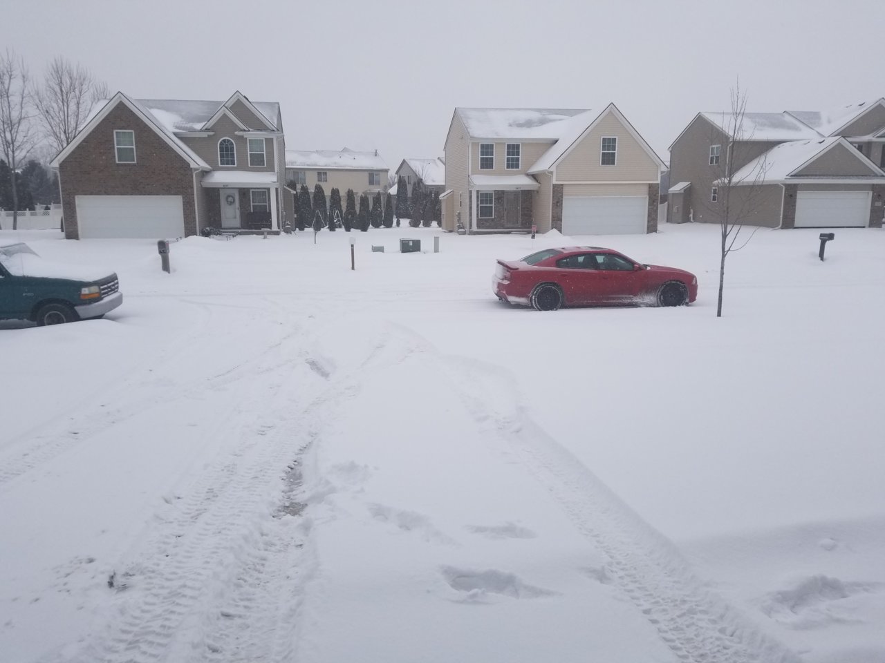 20190128_151257.jpg