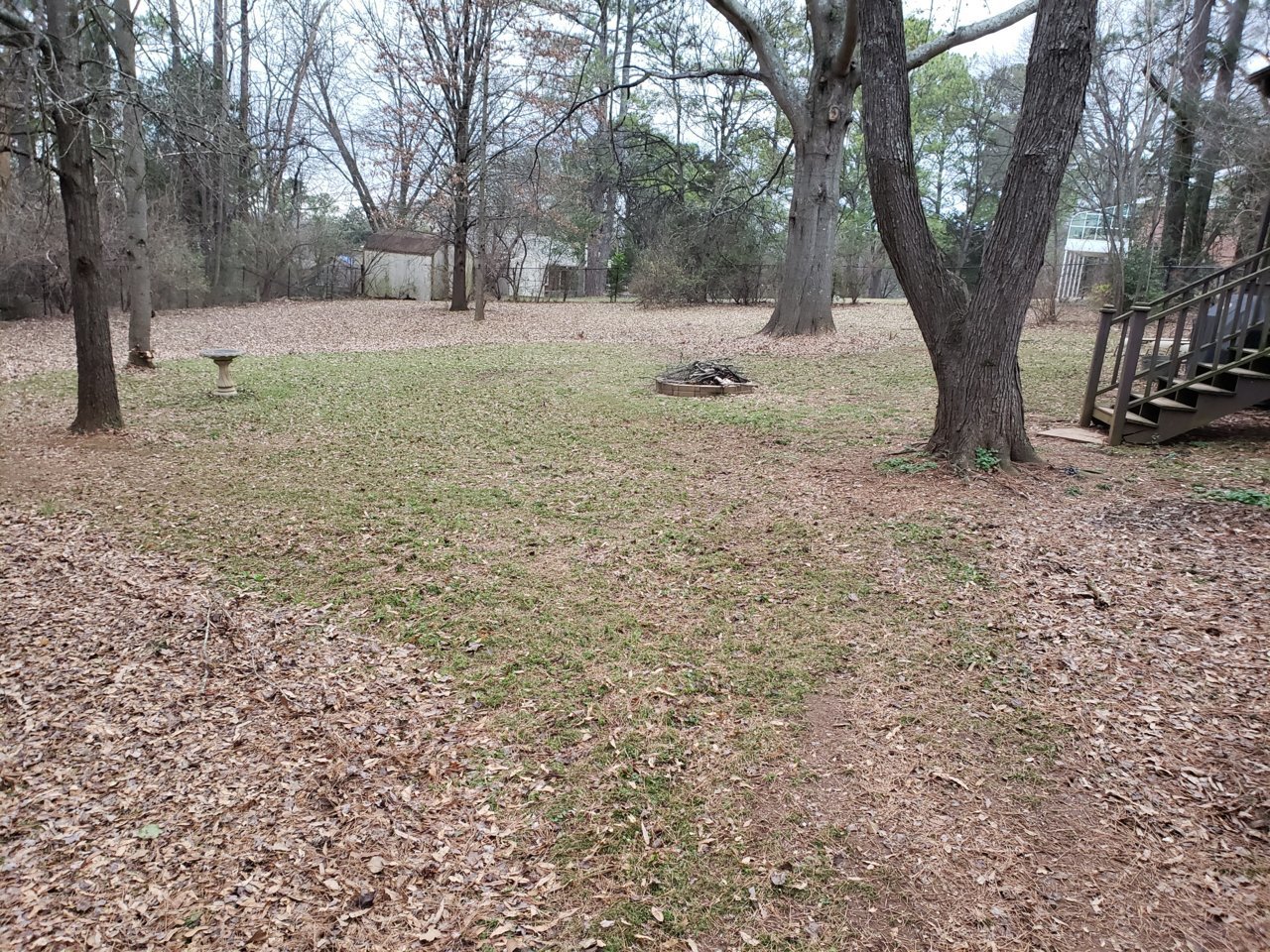 20190128_160045.jpg
