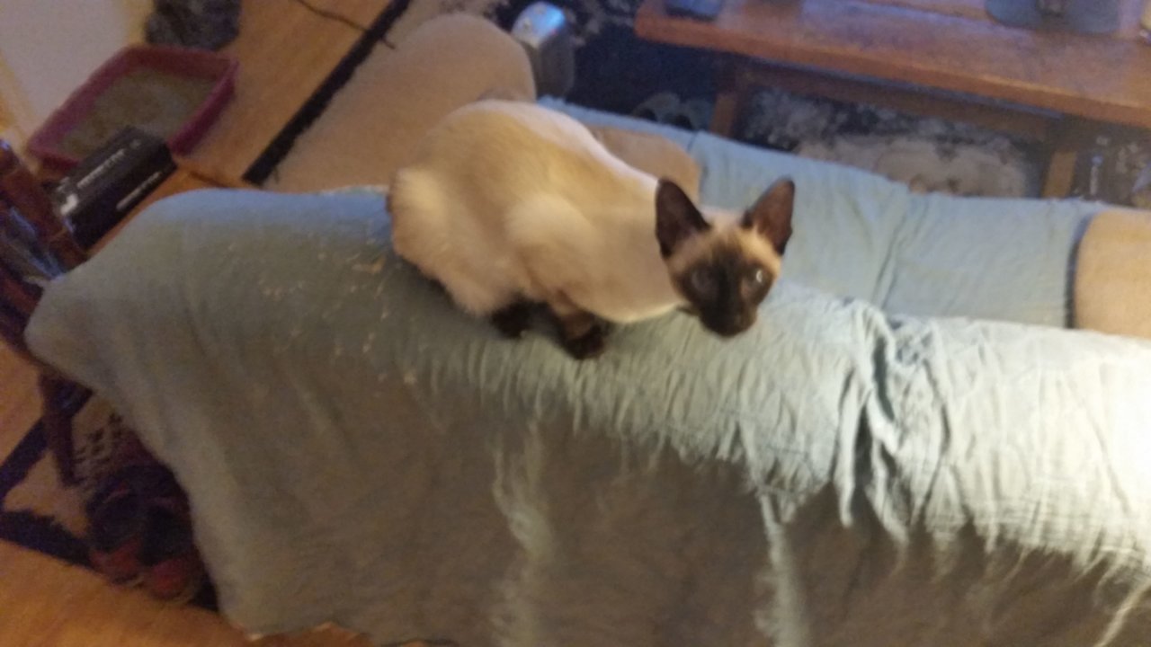 20190129_053417A.jpg