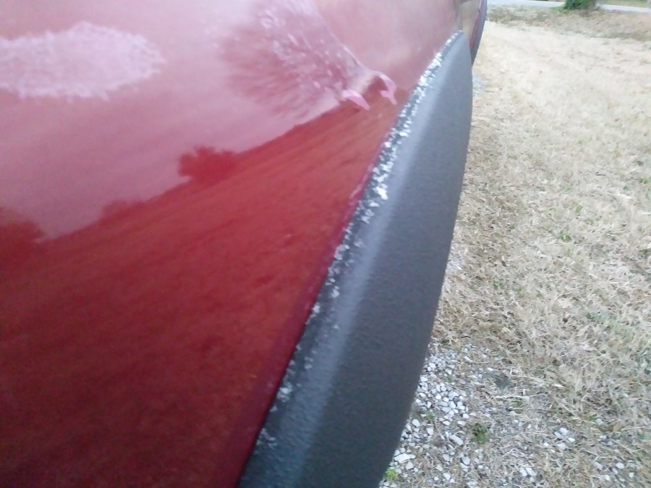 20190129_064241.jpg