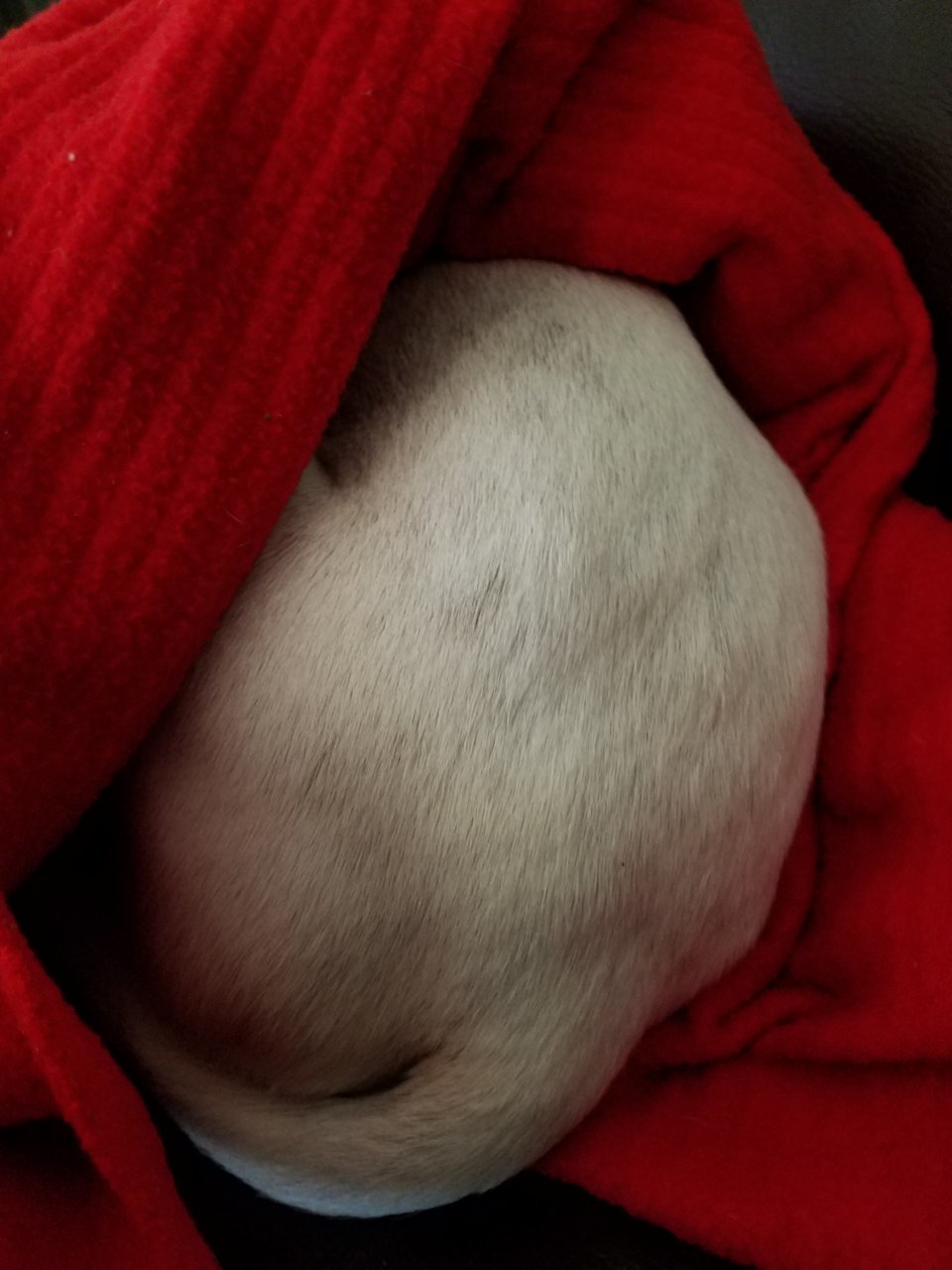 20190129_141629.jpg