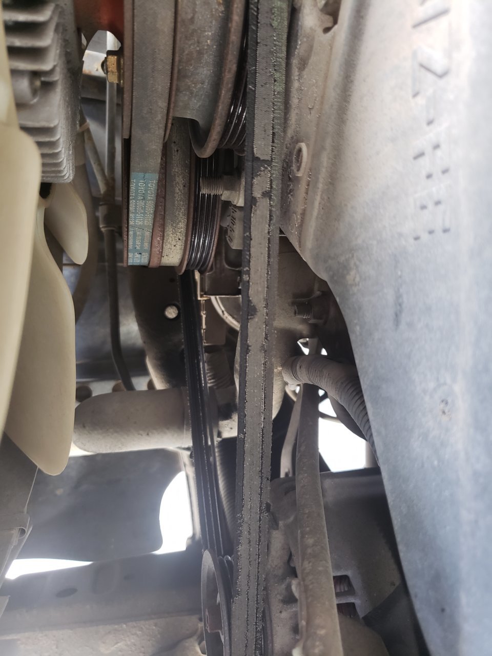 20190129_155338.jpg