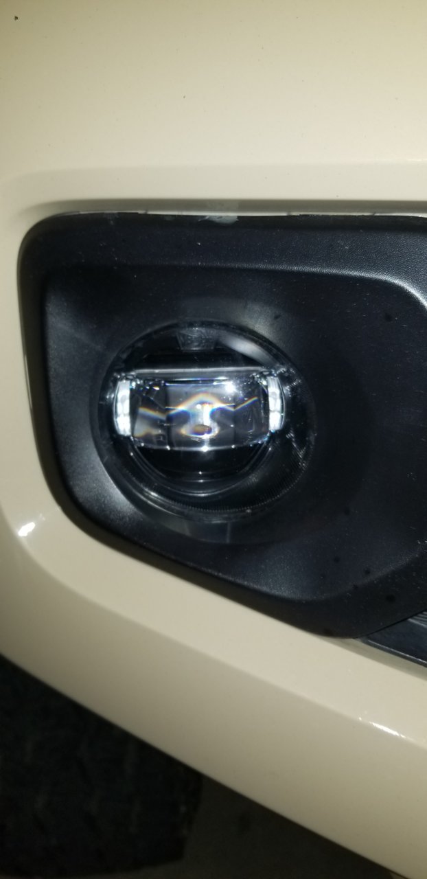 20190129_201631.jpg